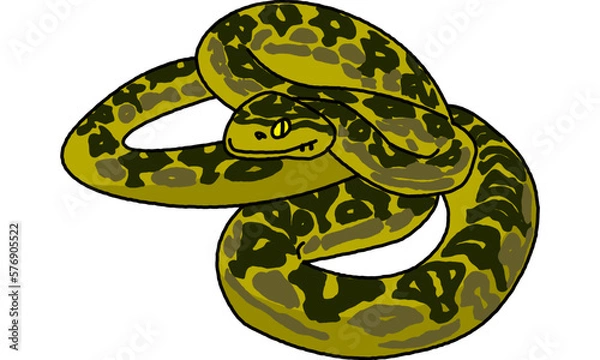 Obraz 世界自然遺産の島の生き物　ハブ　ポップ調