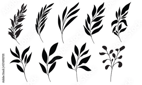 Obraz Line art leaf illustration vector on white background	
