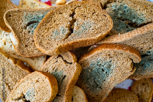 Obraz bread covered with mold. Stale bread covered with mold