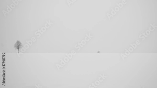 Obraz white wall and snow