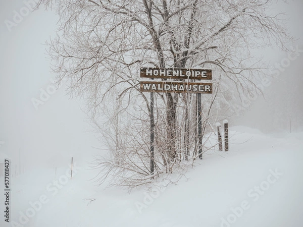 Obraz sign in the snow