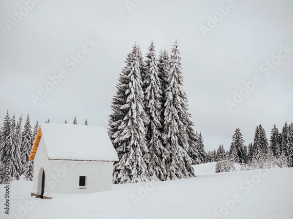 Fototapeta snow covered house
