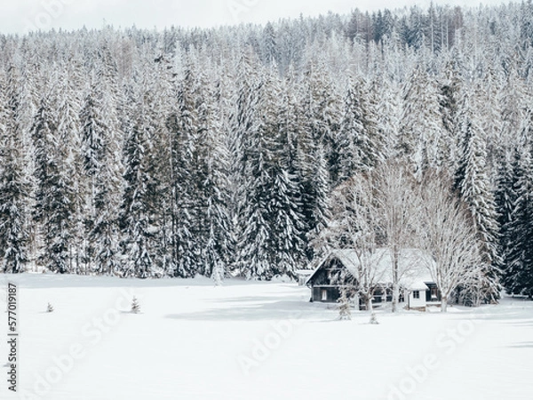 Obraz snow covered house