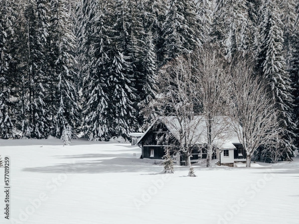 Obraz house in the snow
