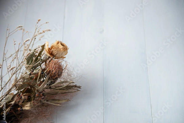 Fototapeta 白い背景とドライフラワー