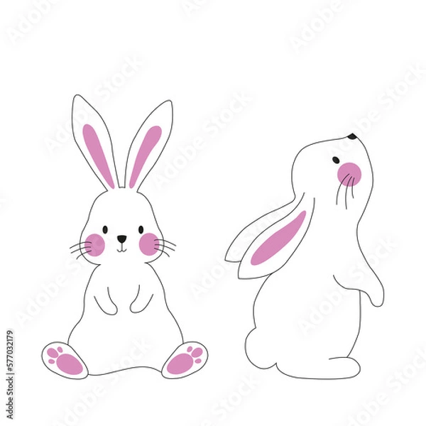 Fototapeta Conejos de Pascua sobre un fondo blanco liso y aislado. Vista de frente y de cerca. Copy space