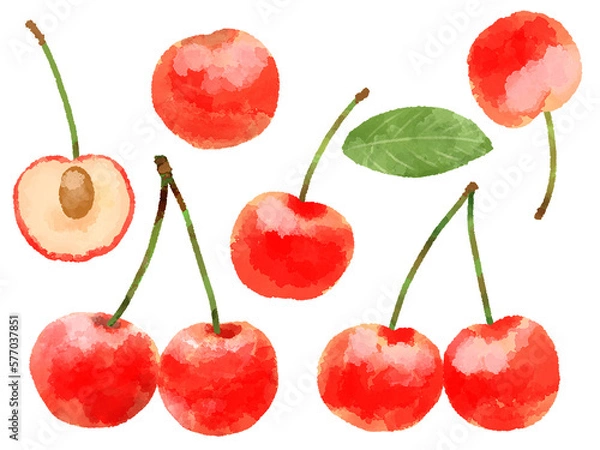 Obraz さくらんぼのイラスト　手描き　水彩風