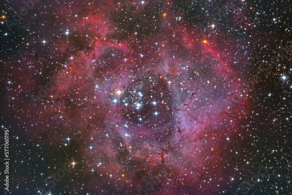 Obraz Nebulosa Rosetta - NGC2237