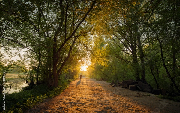 Obraz A man walking alone on a bad rough road among green trees, a silhouette of a man in a natural tunnel.
One person on the way to sunrise. A light in the end of a tunnel.The man comes out of the darkness
