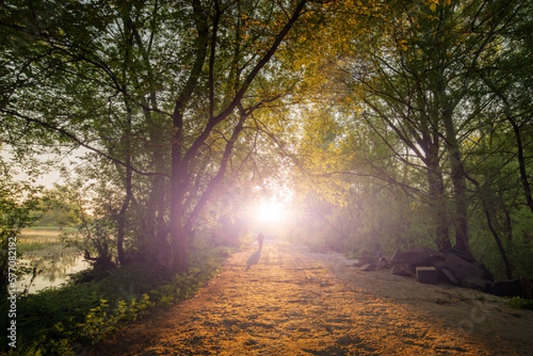 Obraz A man walking alone on a bad rough road among green trees, a silhouette of a man in a natural tunnel.
One person on the way to sunrise. A light in the end of a tunnel.The man comes out of the darkness