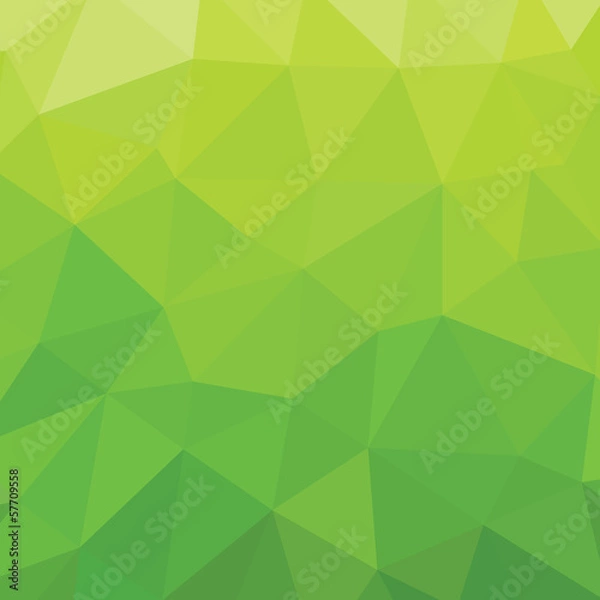 Fototapeta Geometric Background - Vector Pattern