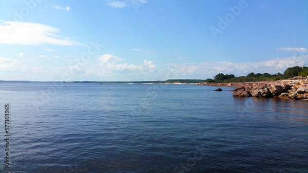 Obraz View from amazon river, Brazil