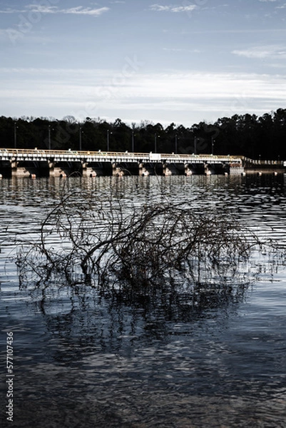 Obraz lake in the evening