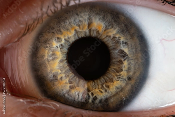 Fototapeta I've got my eye on you