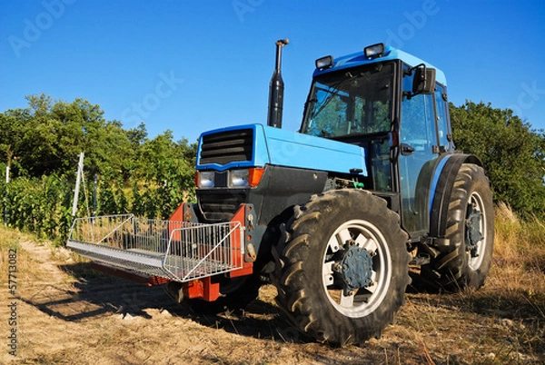 Obraz Blauer Traktor im Weingarten