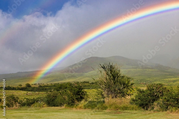 Fototapeta Gorgeous deeply colored rainbow over the west maui mountains.