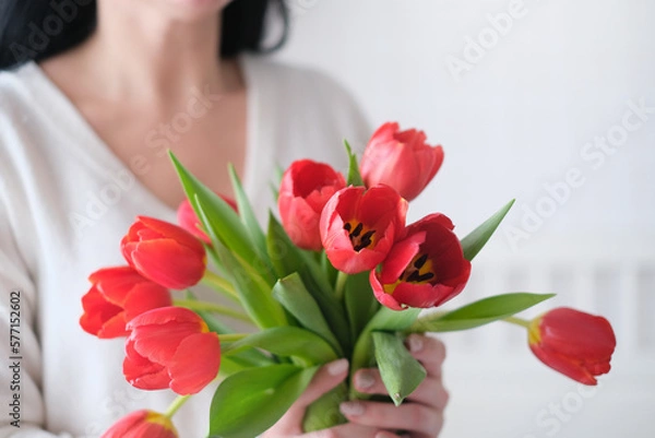 Obraz International Womens Day.Close-up of a woman in a white sweater with a bouquet of red tulips