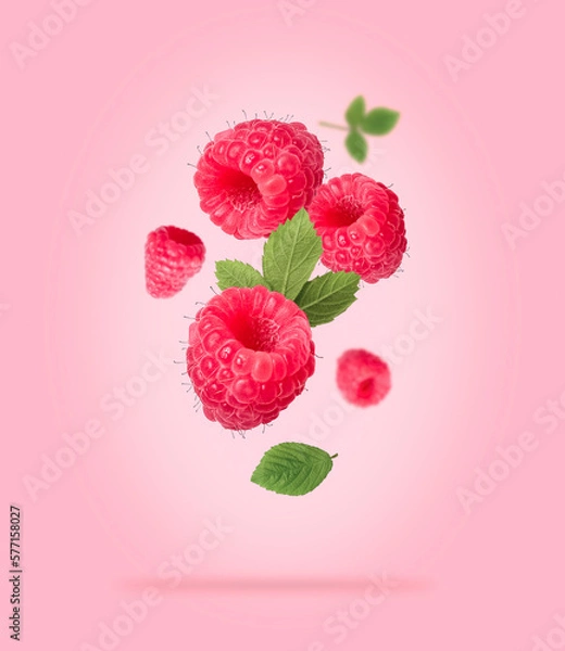 Obraz Red raspberry with green leaves on pink background. Levitating Raspberry