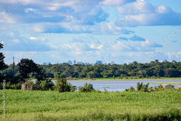 Obraz city ​​appearing among the forest