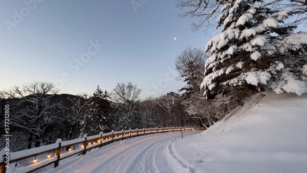 Obraz road in winter
