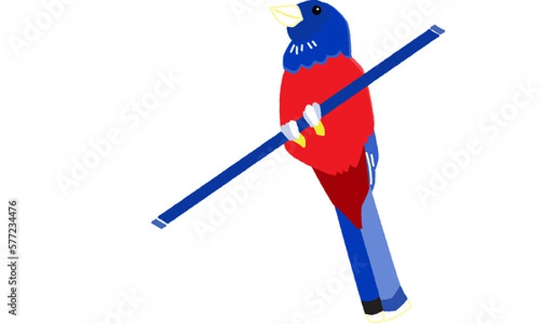 Obraz 世界自然遺産の島の生き物　ルリカケス　ビビット調