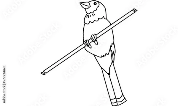 Obraz 世界自然遺産の島の生き物　ルリカケス　線画のみ