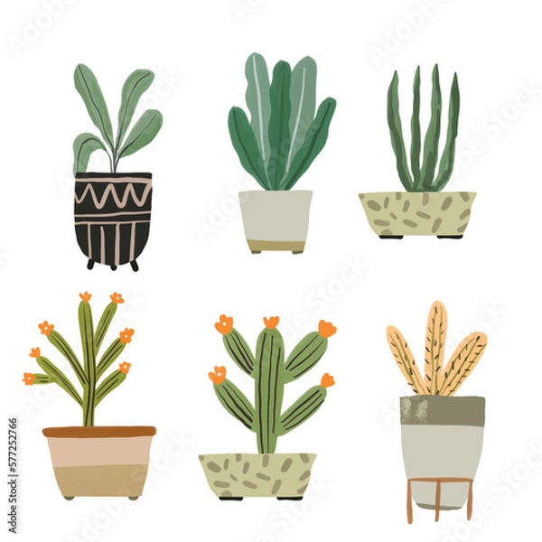 Fototapeta Cacti and House Plant Element Illustration
