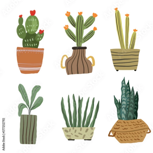 Fototapeta Cacti and House Plant Element Illustration