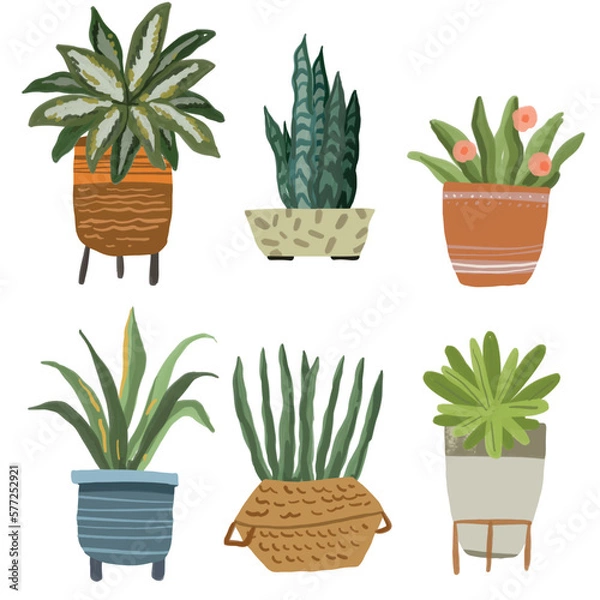 Fototapeta Cacti and House Plant Element Illustration