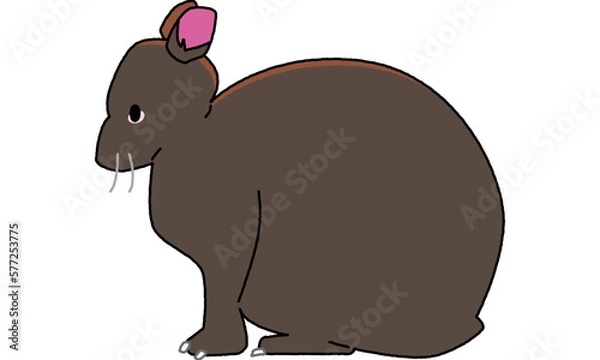 Obraz 世界自然遺産の島のアマミノクロウサギ横向き　ポップ調