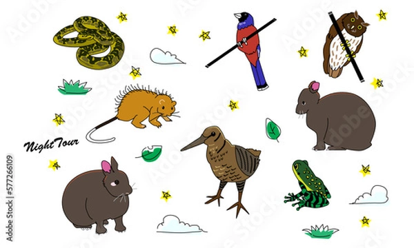 Obraz 世界自然遺産の島のナイトツアー　ポップ調