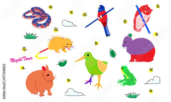 Obraz 世界自然遺産の島のナイトツアー　ビビット調