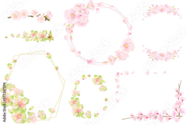 Fototapeta 水彩調の八重桜のフレームセット