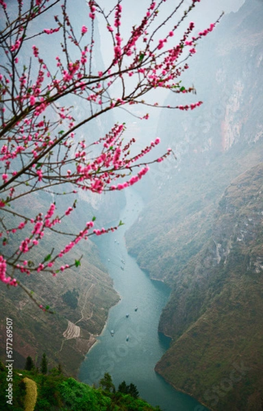 Obraz Nho Que river in Ha Giang viewed from the top during spring                               