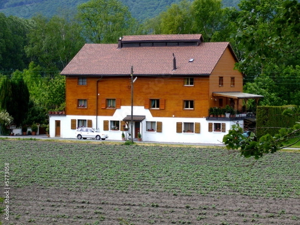 Obraz maison