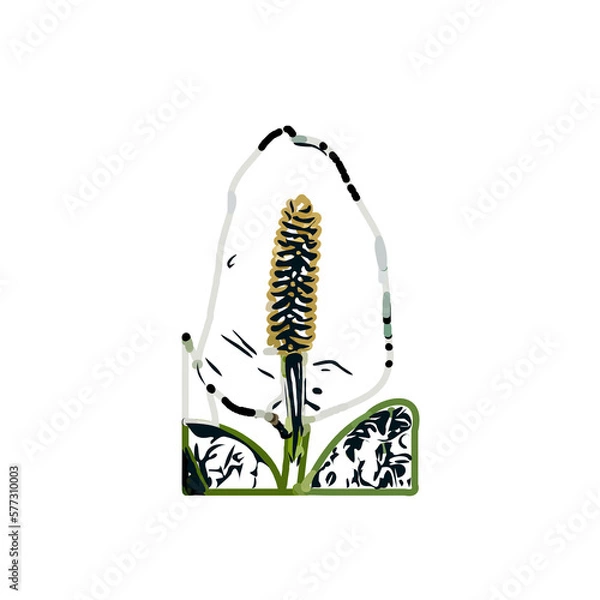 Fototapeta Color sketch of lilies with transparent background