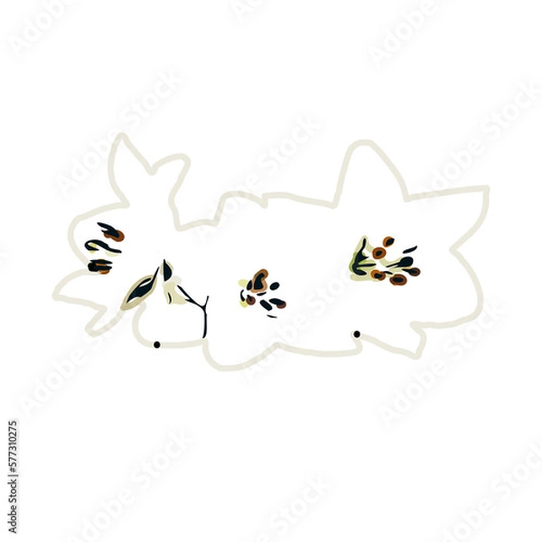 Fototapeta Color sketch of lilies with transparent background
