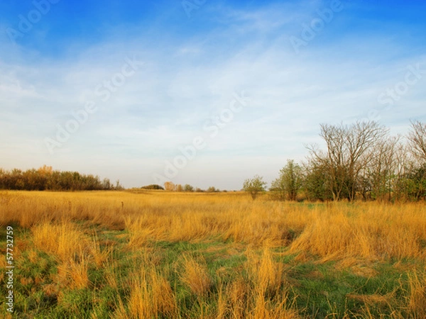 Obraz Landscape with the meadow and cloudy sky