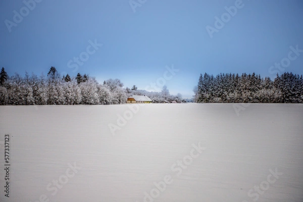 Obraz The farm slept in the cold winter