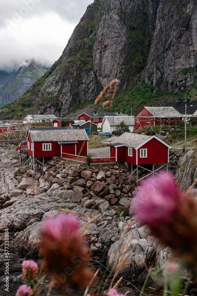 Obraz Lofoten lanscape in summer
