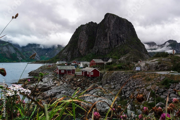 Obraz Lofoten lanscape in summer