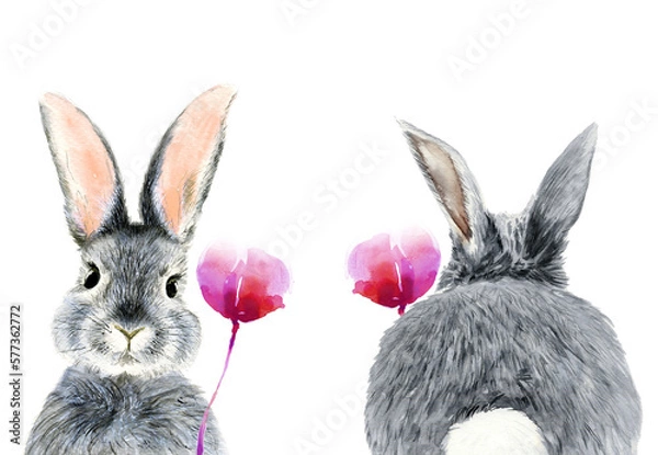 Fototapeta Watercolor illustration of a gray fluffy rabbit with long ears, front and back view, with a bright pink flower