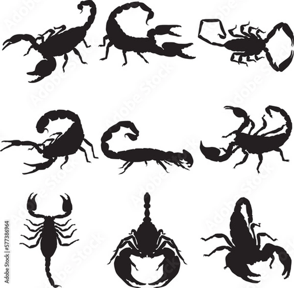 Obraz Black scorpion silhouette isolated on white, Silhouettes of various types of scorpion.