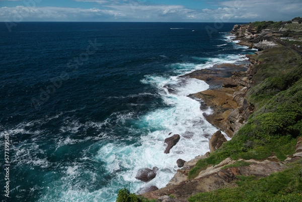 Obraz ニューサウスウェールズ州シドニーの海岸線