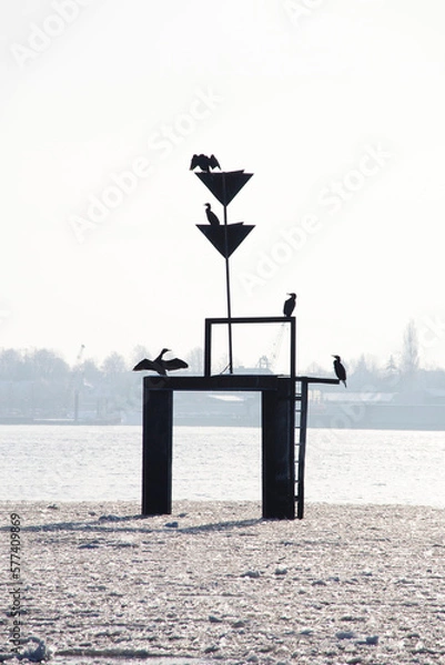 Fototapeta Kormoransilouette