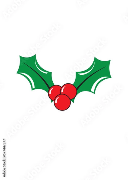 Obraz Holly and Berries