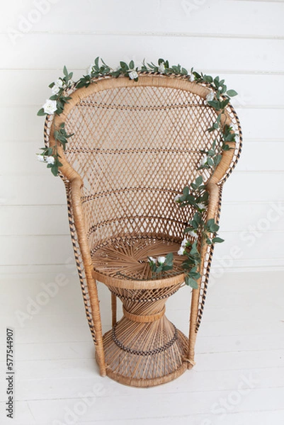 Obraz Boho Peacock Chair