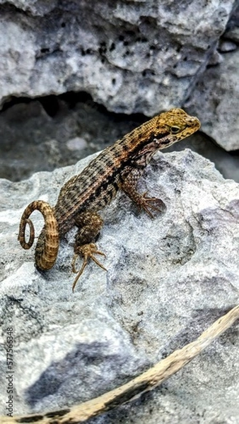 Obraz Exumas Vacation