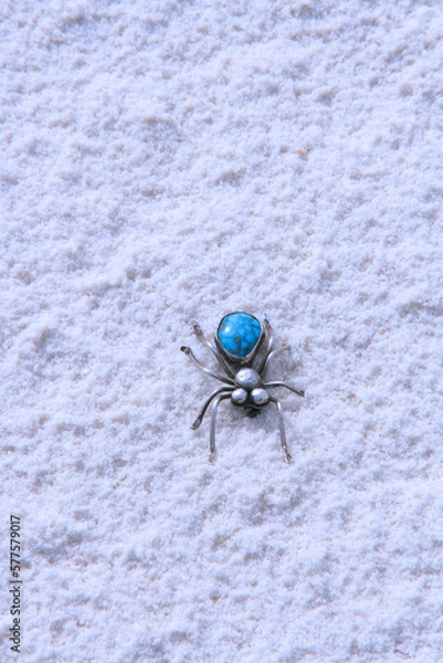 Obraz turquoise  and sterling silver spider on sand dune
