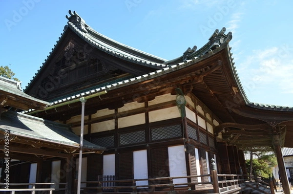 Fototapeta 大光院境内の景色